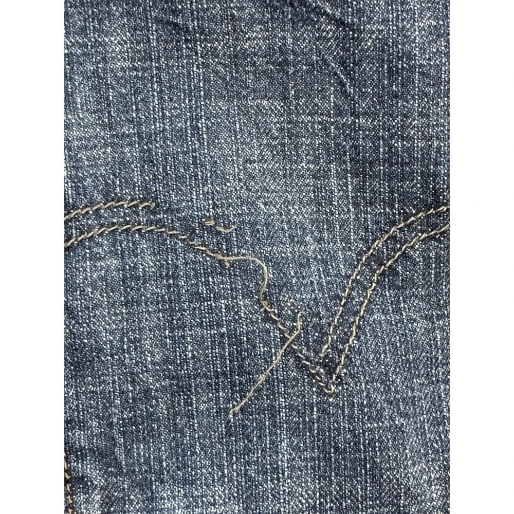 Levis levis 569
